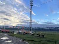 【祁连山旅游全攻略：天境祁连，丝绸之路的绿色明珠】