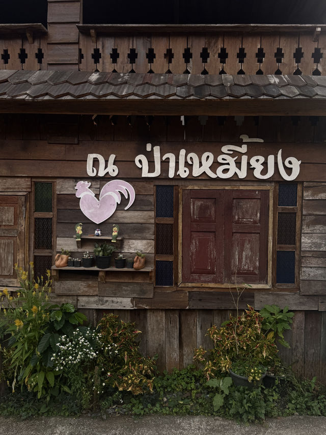 🌿✨ บ้านป่าเหมี้ยง หมู่บ้านเล็ก ๆ ท่ามกลางขุนเขา