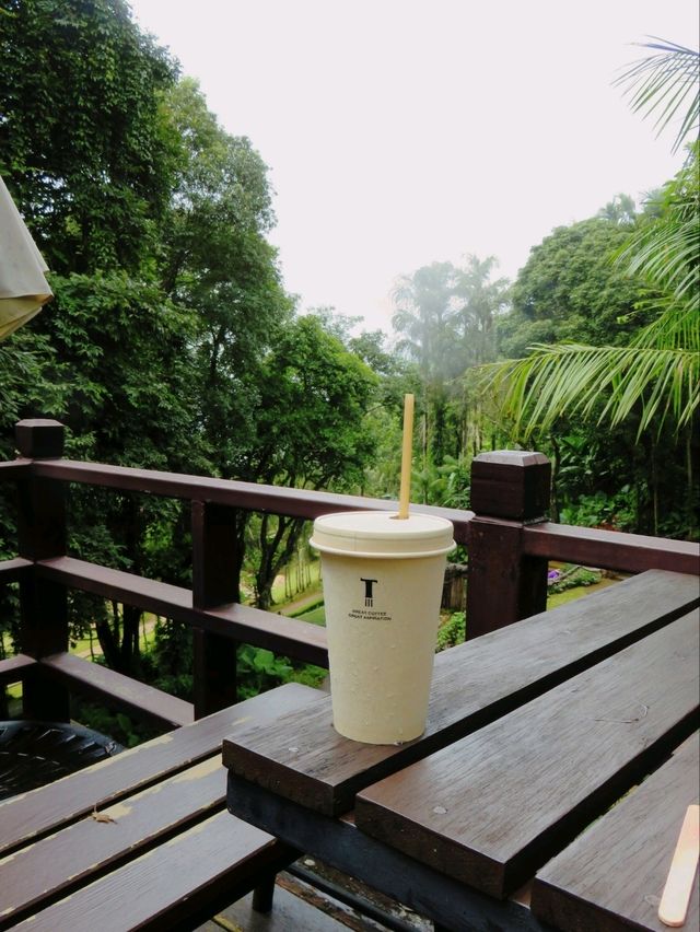 📍 ครัวตำหนัก ดอยตุง จ.เชียงราย 🌿✨