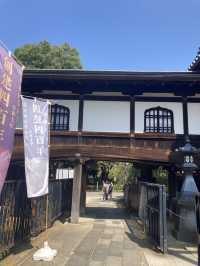【東京・上野】東京観光では外せない!定番スポットの上野恩賜公園