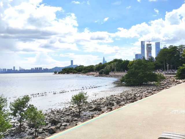 深圳｜深圳灣公園