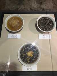 🇰🇷【济州海女博物馆｜感受大海里的坚韧与力量】✨