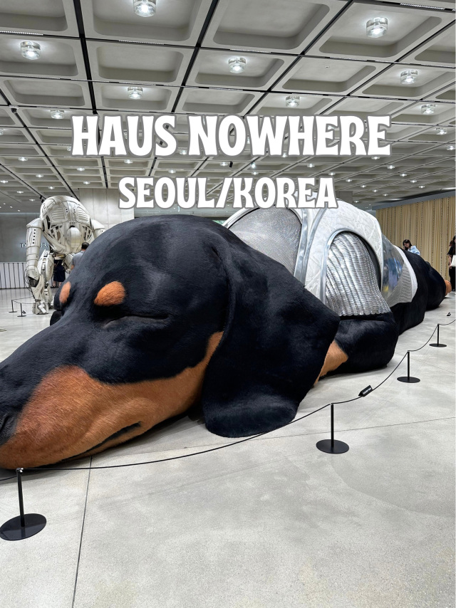 韓国/ソウル】まるで美術館🐶ソンスに新オープンした有名店！ | Trip