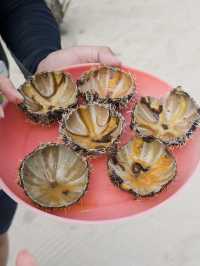 資生堂島值得去嗎?