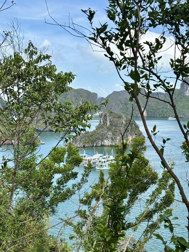 Sunny Bay Trip☀️ Sunny Bay Trip☀️