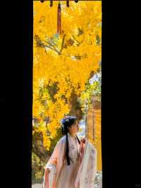 Wuxi and Taihu