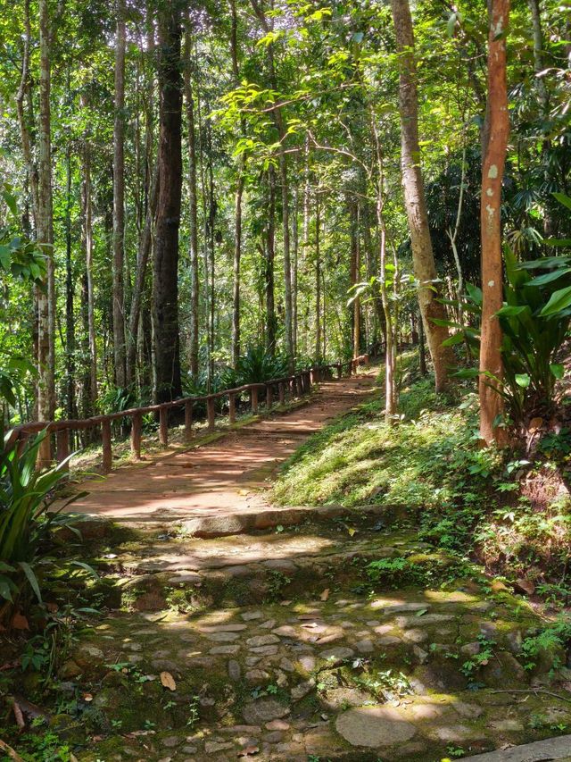 น้ำตกตาดหมอก (แม่ริม เชียงใหม่) 🏞️