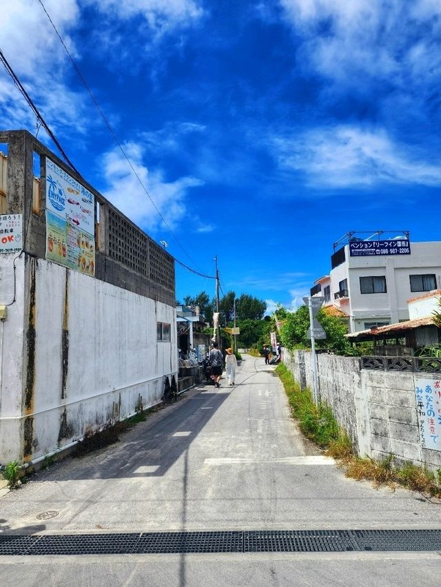🏝渡嘉敷島深度遊 • 沉浸慶良間藍 • 海灘・自然・賞鯨全攻略🌊