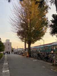 เดินเล่นเนริมะ & Warner Bros. Studio Tour Tokyo 