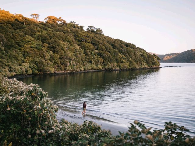 Rakiura Tracks Retreat