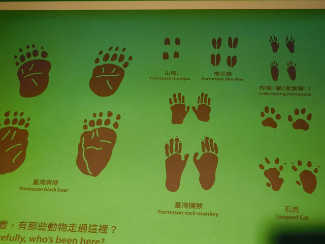 什麼?怎麼會是到銀行看古生物? 什麼?怎麼會是到銀行看古生物?
