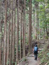 熊野古道中邊路徒步之旅