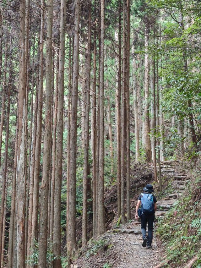 熊野古道中邊路徒步之旅 熊野古道中邊路徒步之旅