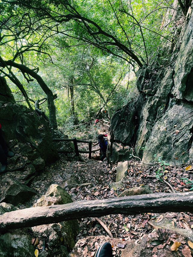 🏔️ Adventure Awaits at Gunung Keriang Trail, Kedah 🌄💚 🏔️ Adventure Awaits at Gunung Keriang Trail, Kedah 🌄💚
