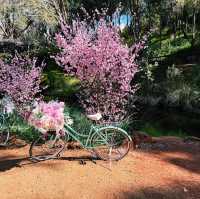 Araluen Botanic Garden