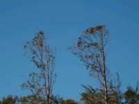 南丫島：榕樹灣到索罟灣