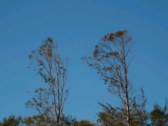 南丫島：榕樹灣到索罟灣