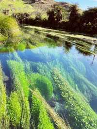 💙 Blue Spring: Earth’s Liquid Crystal in Pure NZ! 🌿