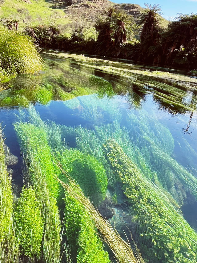 💙 Blue Spring: Earth’s Liquid Crystal in Pure NZ! 🌿