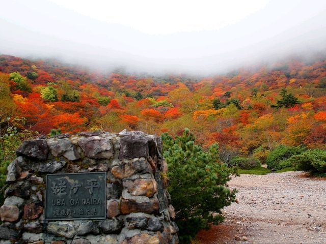 自然がいっぱい🌳那須の紅葉スポット