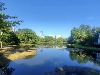 ニノイ・アキノ公園と野生動物センター