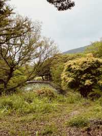 A Breath of Fresh Air in Jeju City