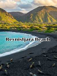 Reynisfjara 