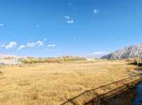 Autumn Wetlands and Snow-Capped Peaks Reflecting Each Other in Taxkorgan