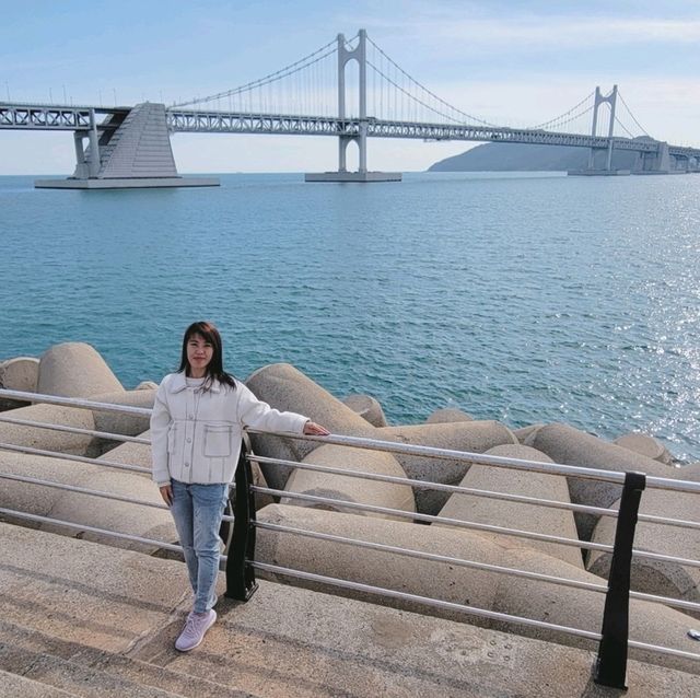 釜山🇰🇷廣安大橋🌁海濱咖啡街～花海片片