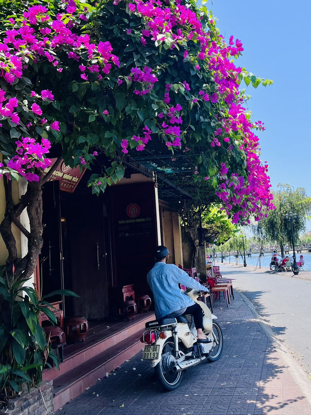 Hoi An Magic Day✨Chasing colors