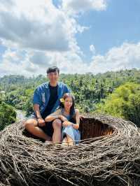 MUST TO TRY SWING IN BALI
