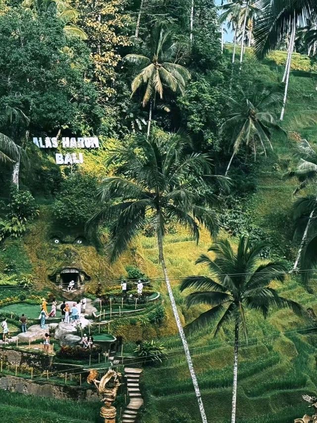 Rainforest Escape🌴 Rainforest Escape🌴
