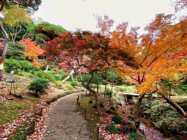 ชมใบไม้เปลี่ยนสีที่ Kyu Furukawa Gardens