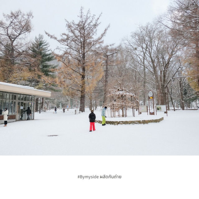 ❄️ Maruyama Park – สวนหิมะใจกลางซัปโปโร ❄️ Maruyama Park – สวนหิมะใจกลางซัปโปโร