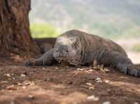 Bali 8 Days Travel Guide 