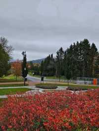 가을에 가면 더 좋은 비겔란공원