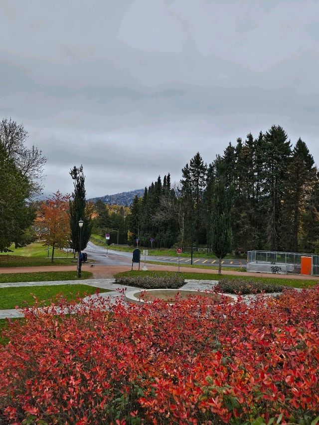 가을에 가면 더 좋은 비겔란공원