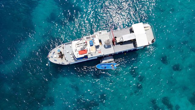 Tubbataha Reef - Tubbataha dream