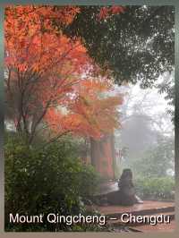 Mount Qingcheng @ Chengdu