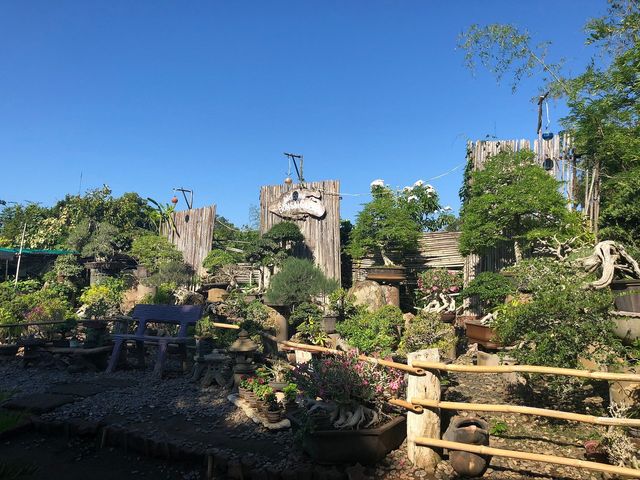 Hidden Garden - Authentic Ilocano Dishes with great garden ambiance Hidden Garden - Authentic Ilocano Dishes with great garden ambiance