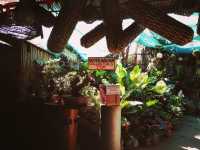 Hidden Garden - Authentic Ilocano Dishes with great garden ambiance