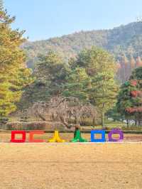 충청도 가을여행지 청주 미동산수목원 실시간✨