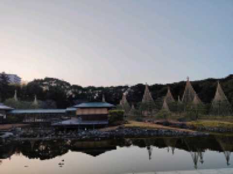 【日本 | 名古屋】意外的日式幽徑:名古屋白鳥庭園,倉促卻寧靜的城市綠洲