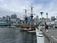澳大利亞景點—🚶♂️ Sydney Harbour Circle Walk(雪梨港環港步道)