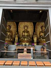 TSZ SHAN MONASTERY ~ วัดซีซ้าน