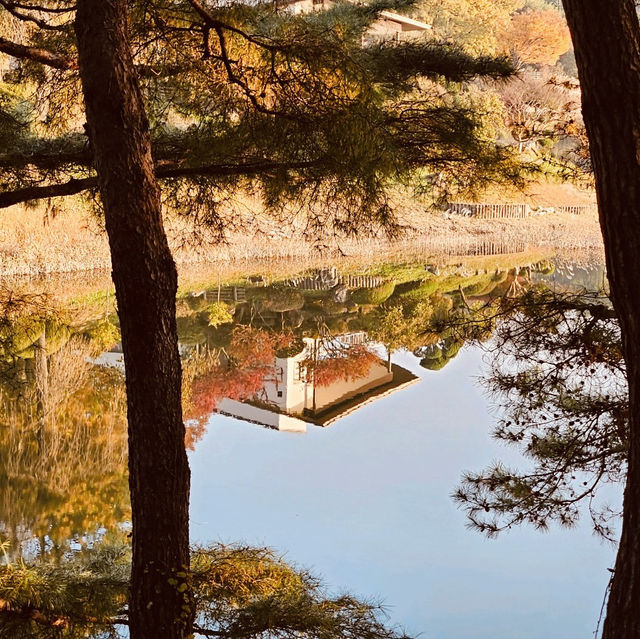 The Breathtaking View of Daecheongho Lake The Breathtaking View of Daecheongho Lake