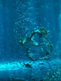 富國島珍珠樂園