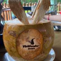 Adventure Awaits: VinWonders in Phu Quoc, Vietnam