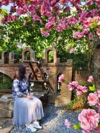 城堡裡的雲貴菜小酒館!紅酒杯裝涼粉、酸菜魚旁放玫瑰🌹