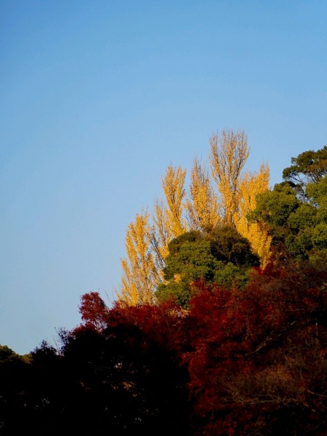 JAPAN AUTUMN 2025 JAPAN AUTUMN 2025